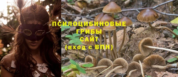 трава Вязьма