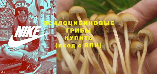 гашишное масло Вяземский