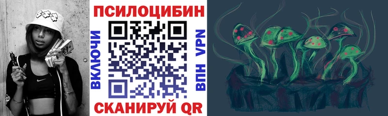 Купить  Перевоз  Псилоцибиновые грибы мицелий 